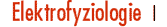 Elektrofyziologie